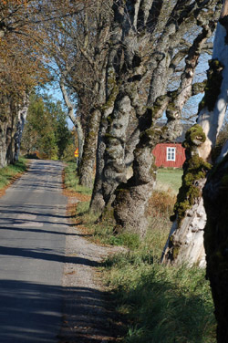 Milj�bild Sperlingsholm